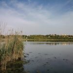 Pergusa lake