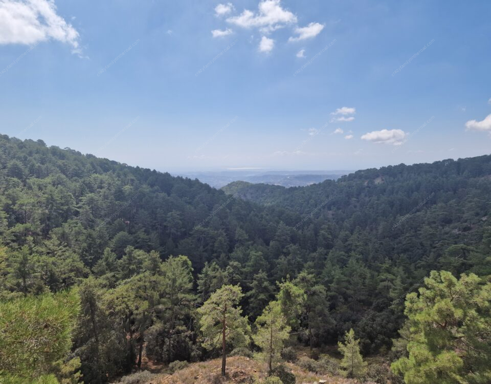 Troodos