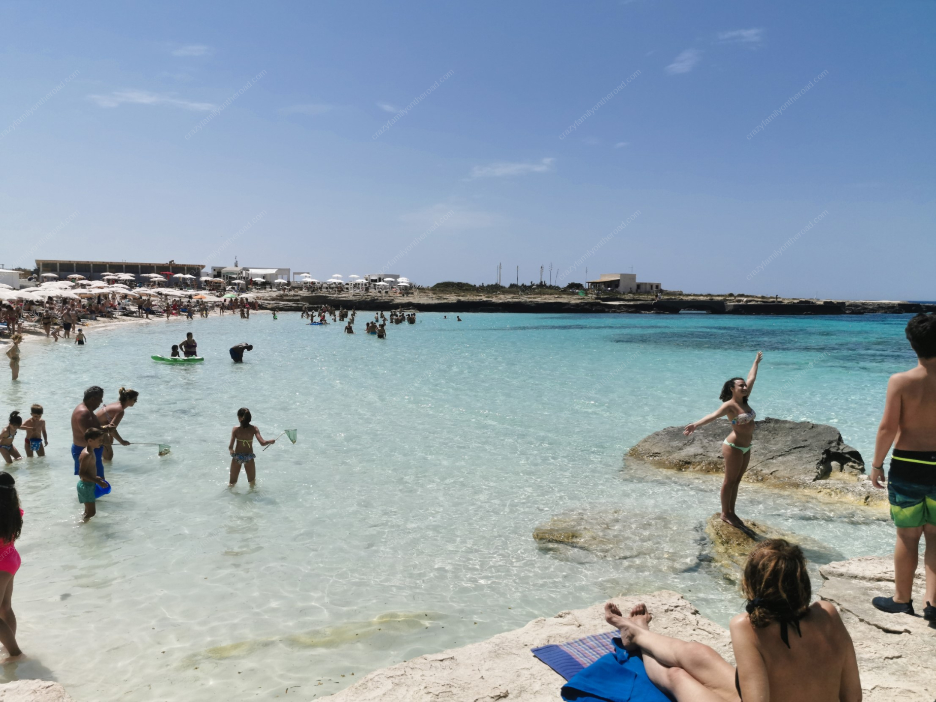 Favinanna Lido Burrone
