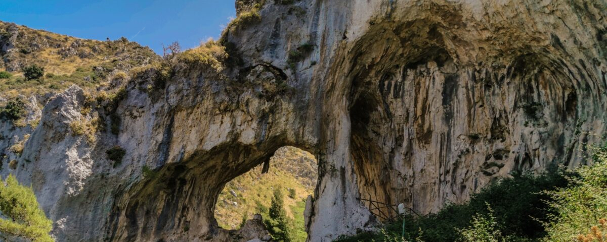 Pineta di Grotta Grattara