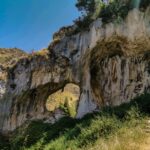 Pineta di Grotta Grattara