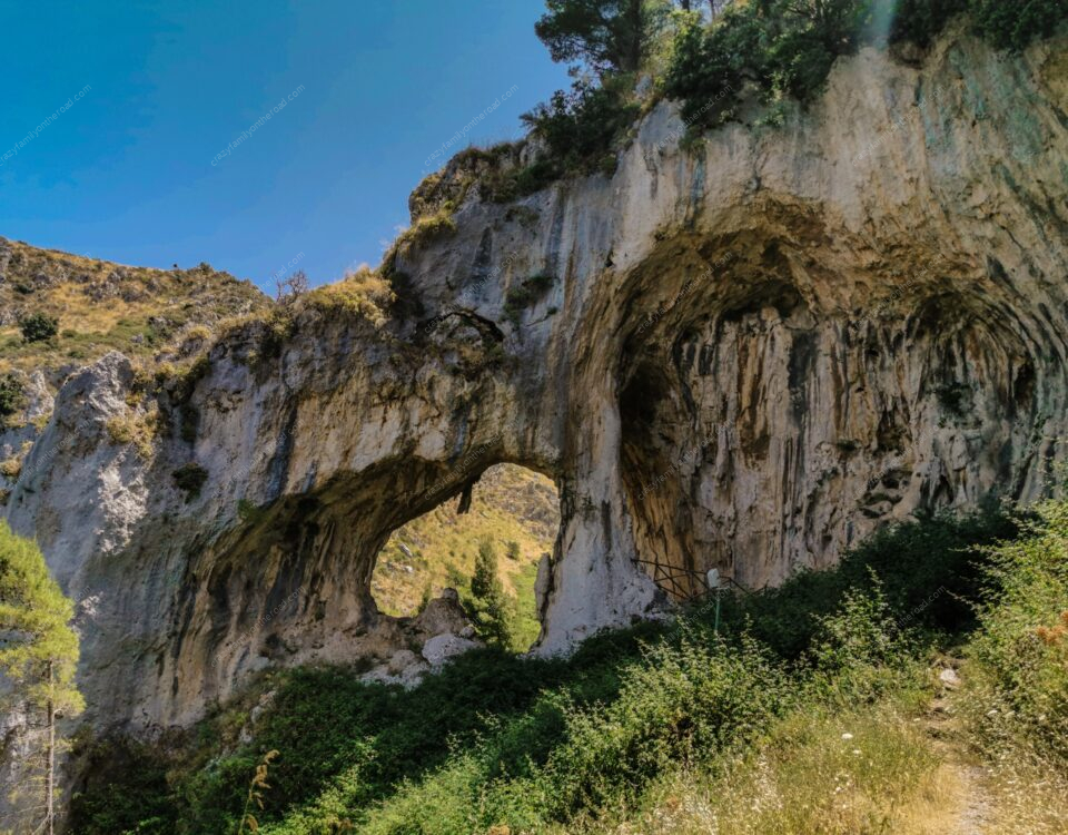 Pineta di Grotta Grattara