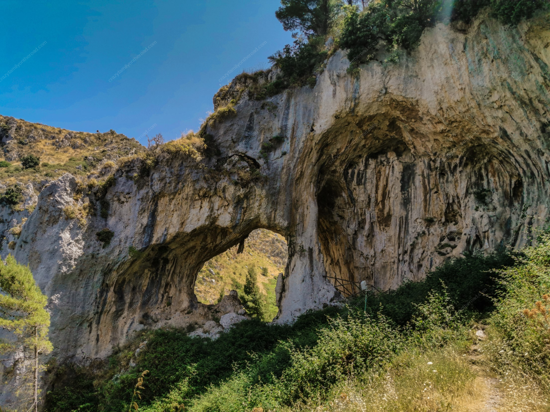 Pineta di Grotta Grattara