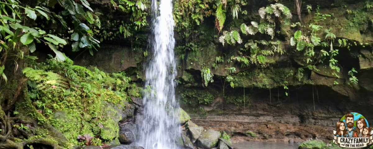 Emerald pool Dominica